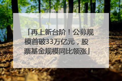 再上新台阶！公募规模首破33万亿元，股票基金规模同比领涨