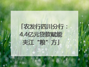 农发行四川分行：4.4亿元贷款赋能夹江“粮”方