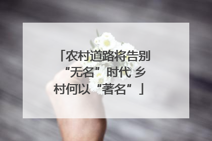 农村道路将告别“无名”时代 乡村何以“著名”