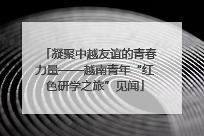 凝聚中越友谊的青春力量——越南青年“红色研学之旅”见闻