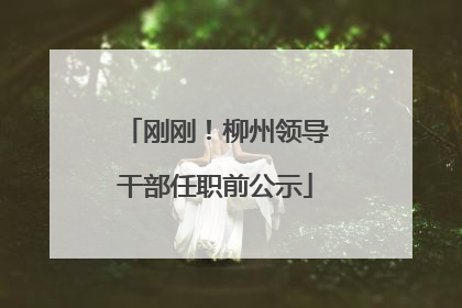 刚刚！柳州领导干部任职前公示
