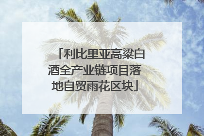 利比里亚高粱白酒全产业链项目落地自贸雨花区块