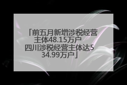 前五月新增涉税经营主体48.15万户 四川涉税经营主体达534.99万户