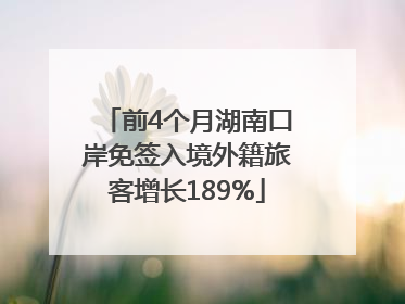 前4个月湖南口岸免签入境外籍旅客增长189%