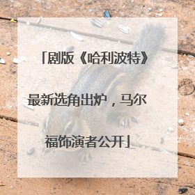 剧版《哈利波特》最新选角出炉，马尔福饰演者公开