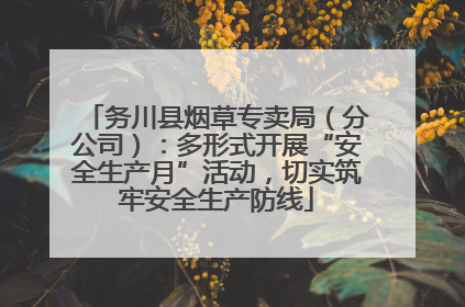 务川县烟草专卖局（分公司）：多形式开展“安全生产月”活动，切实筑牢安全生产防线