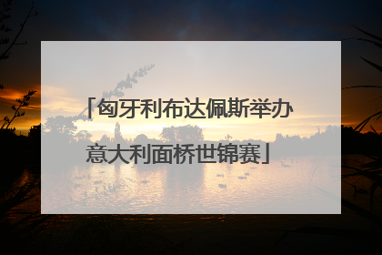 匈牙利布达佩斯举办意大利面桥世锦赛