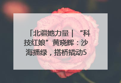 北疆她力量｜“科技红娘”黄晓辉：沙海播绿，搭桥撬动5.3亿研发