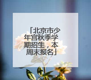 北京市少年宫秋季学期招生，本周末报名