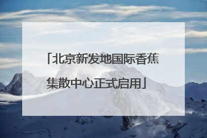 北京新发地国际香蕉集散中心正式启用
