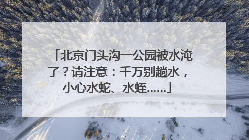 北京门头沟一公园被水淹了？请注意：千万别趟水，小心水蛇、水蛭……