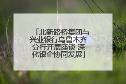 北新路桥集团与兴业银行乌鲁木齐分行开展座谈 深化银企协同发展
