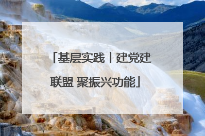 基层实践丨建党建联盟 聚振兴功能