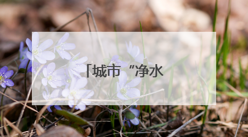 城市“净水器”的奥秘