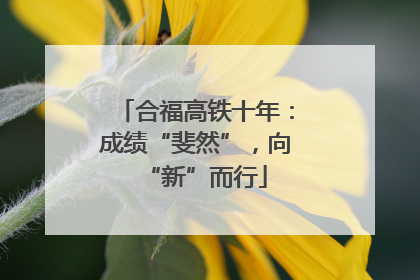 合福高铁十年：成绩“斐然”，向“新”而行