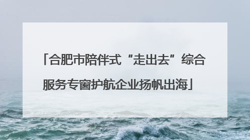 合肥市陪伴式“走出去”综合服务专窗护航企业扬帆出海
