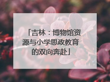 吉林：博物馆资源与小学思政教育的双向奔赴