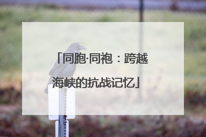 同胞·同袍：跨越海峡的抗战记忆