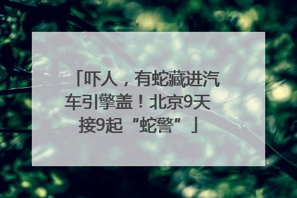 吓人，有蛇藏进汽车引擎盖！北京9天接9起“蛇警”
