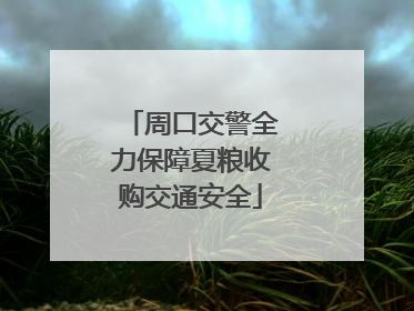 周口交警全力保障夏粮收购交通安全