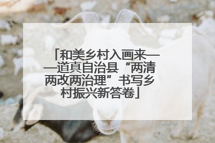 和美乡村入画来——道真自治县“两清两改两治理”书写乡村振兴新答卷