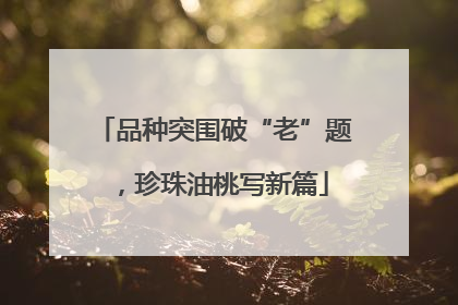 品种突围破“老”题，珍珠油桃写新篇
