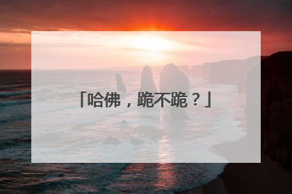 哈佛，跪不跪？