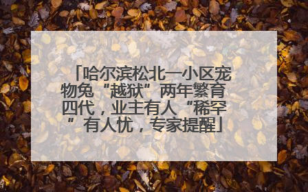 哈尔滨松北一小区宠物兔“越狱”两年繁育四代，业主有人“稀罕”有人忧，专家提醒