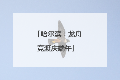 哈尔滨：龙舟竞渡庆端午