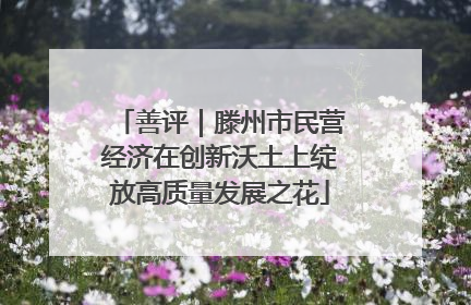 善评｜滕州市民营经济在创新沃土上绽放高质量发展之花