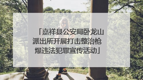 嘉祥县公安局卧龙山派出所开展打击整治枪爆违法犯罪宣传活动