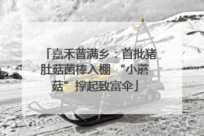 嘉禾普满乡：首批猪肚菇菌棒入棚 “小蘑菇”撑起致富伞