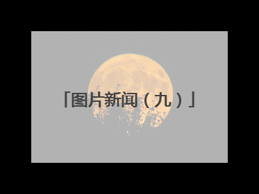 图片新闻（九）