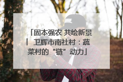 固本强农 共绘新景 ︳卫辉市南社村：蔬菜村的“链”动力