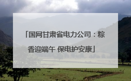 国网甘肃省电力公司：粽香迎端午 保电护安康