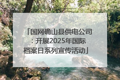 国网确山县供电公司：开展2025年国际档案日系列宣传活动