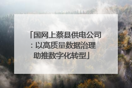 国网上蔡县供电公司：以高质量数据治理 助推数字化转型
