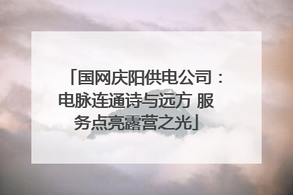国网庆阳供电公司：电脉连通诗与远方 服务点亮露营之光
