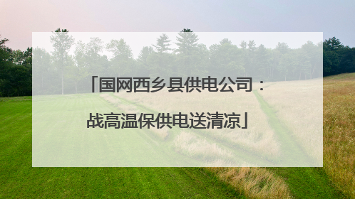 国网西乡县供电公司：战高温保供电送清凉
