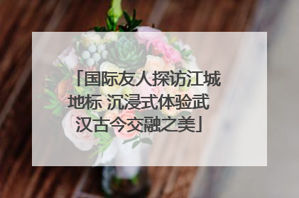国际友人探访江城地标 沉浸式体验武汉古今交融之美