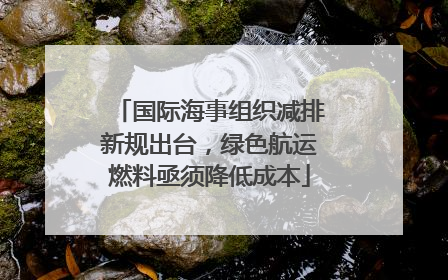国际海事组织减排新规出台，绿色航运燃料亟须降低成本