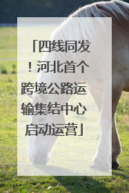 四线同发！河北首个跨境公路运输集结中心启动运营