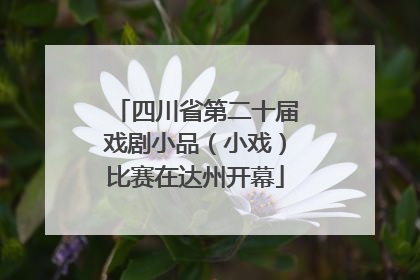 四川省第二十届戏剧小品（小戏）比赛在达州开幕
