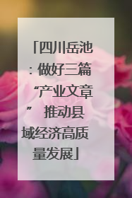 四川岳池：做好三篇“产业文章” 推动县域经济高质量发展