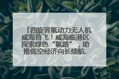 四旋翼氢动力无人机威海首飞！威海临港区探索绿色“氢路”，助推低空经济向长续航、大载重“进化”