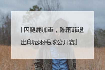 因腿痛加重，陈雨菲退出印尼羽毛球公开赛