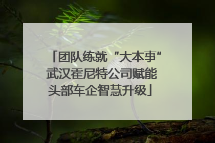 团队练就“大本事” 武汉霍尼特公司赋能头部车企智慧升级