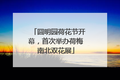 圆明园荷花节开幕，首次举办荷梅南北双花展