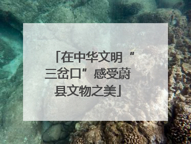 在中华文明“三岔口”感受蔚县文物之美