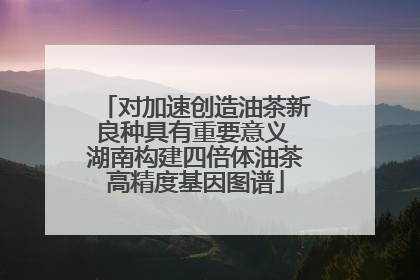 对加速创造油茶新良种具有重要意义 湖南构建四倍体油茶高精度基因图谱